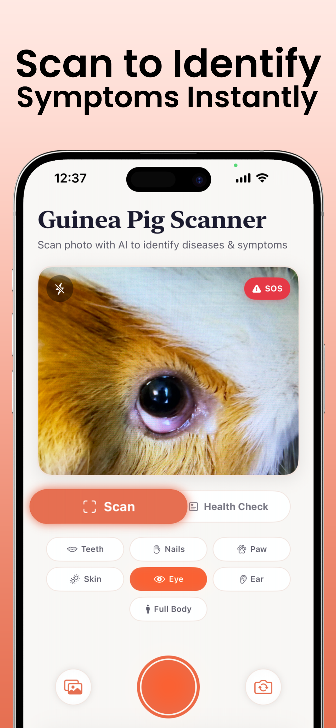 Wheeky Identifier Screenshot 1